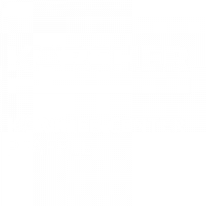 Kaercher weiss