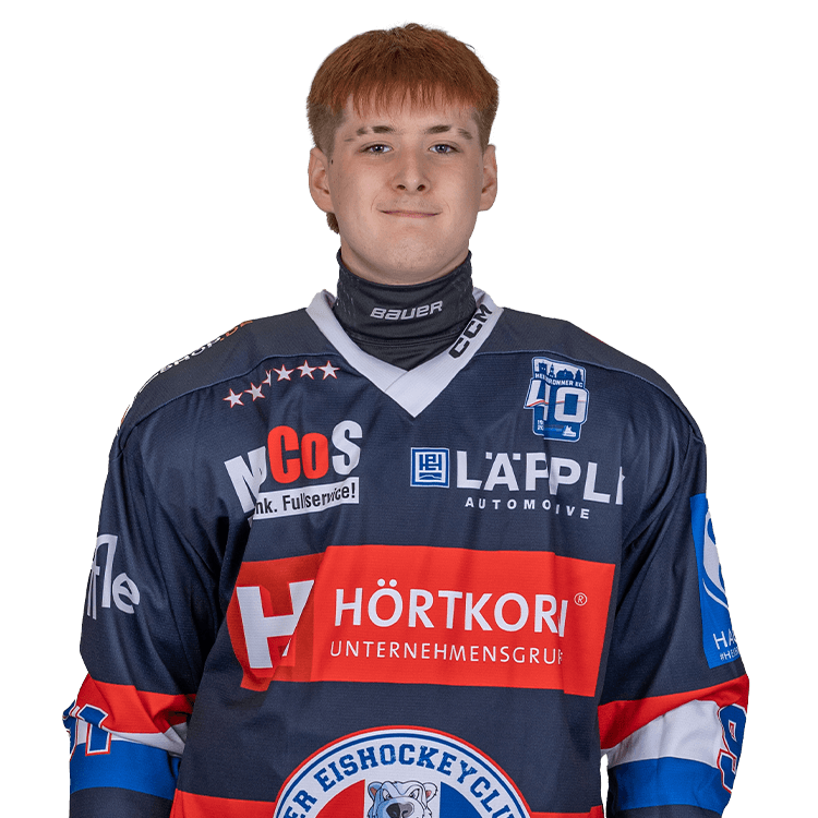 2009 pfeil roman 2025 26