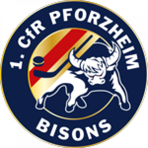 bisons logo 150