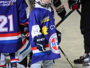 Falken Showtraining 2025 01