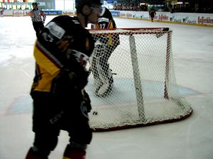 2026 Dr Gerd Wirth 35