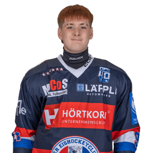 2009 pfeil roman 2025 26