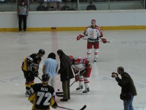 2026 Dr Gerd Wirth 29