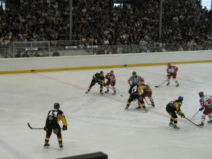 2026 Dr Gerd Wirth 42