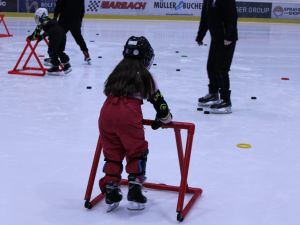 IMG 1477