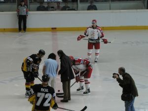 2026 Dr Gerd Wirth 29