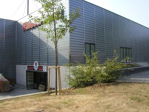 2026 Dr Gerd Wirth 52