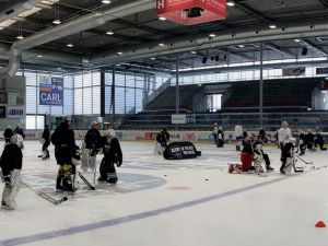 IMG 8384 1