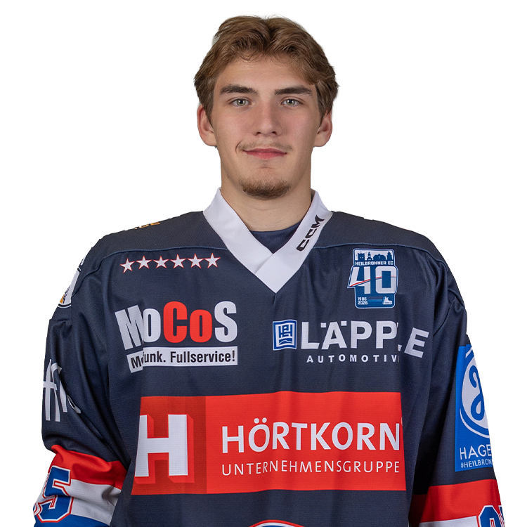 2007 hepperle levin 2025 26