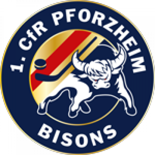 bisons logo 150